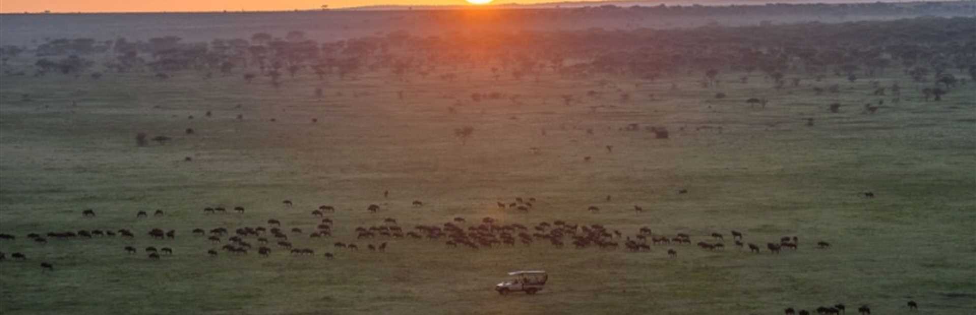 Tanzania Classic Northern